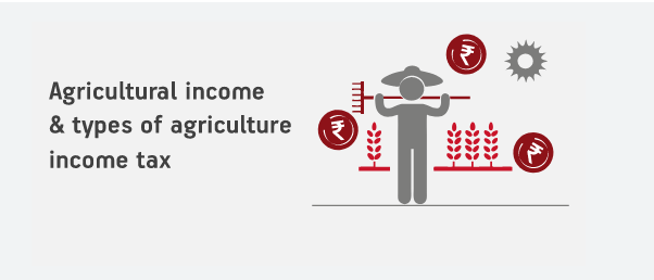 Agriculture Income for file ITR