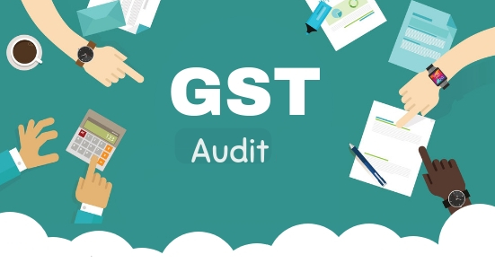 GST Audit Fees