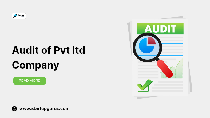 Audit of Pvt ltd Company