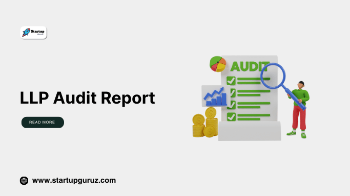 LLP Audit Report