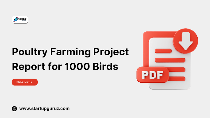 Poultry Farming Project Report for 1000 Birds