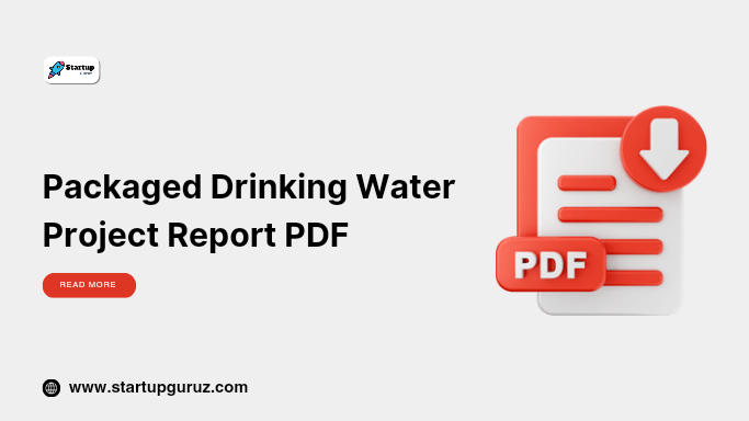 Packaged Drinking Water Project Report PDF