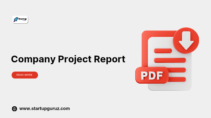 Company Project Report